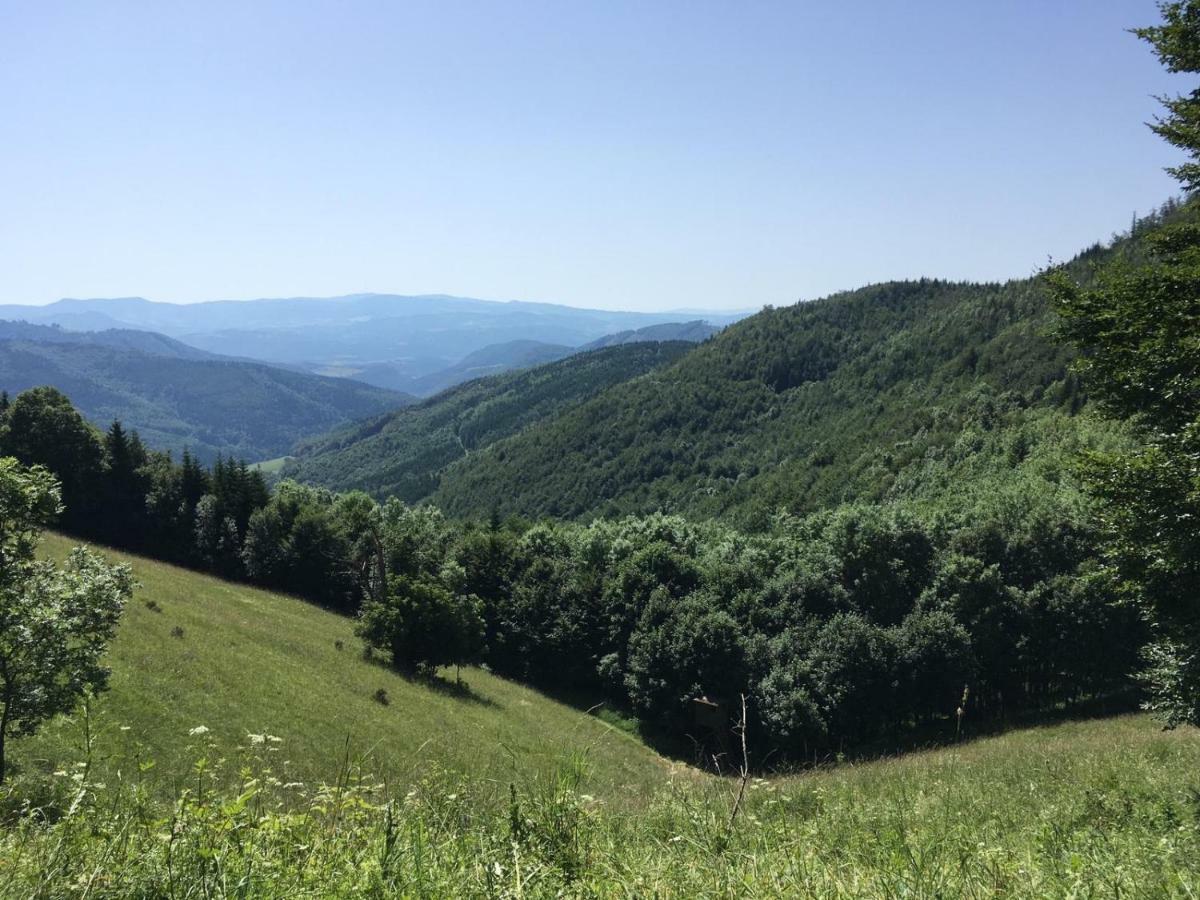 Apartmanovy Dom Spiezovec - Ap. 4 Donovaly Bagian luar foto